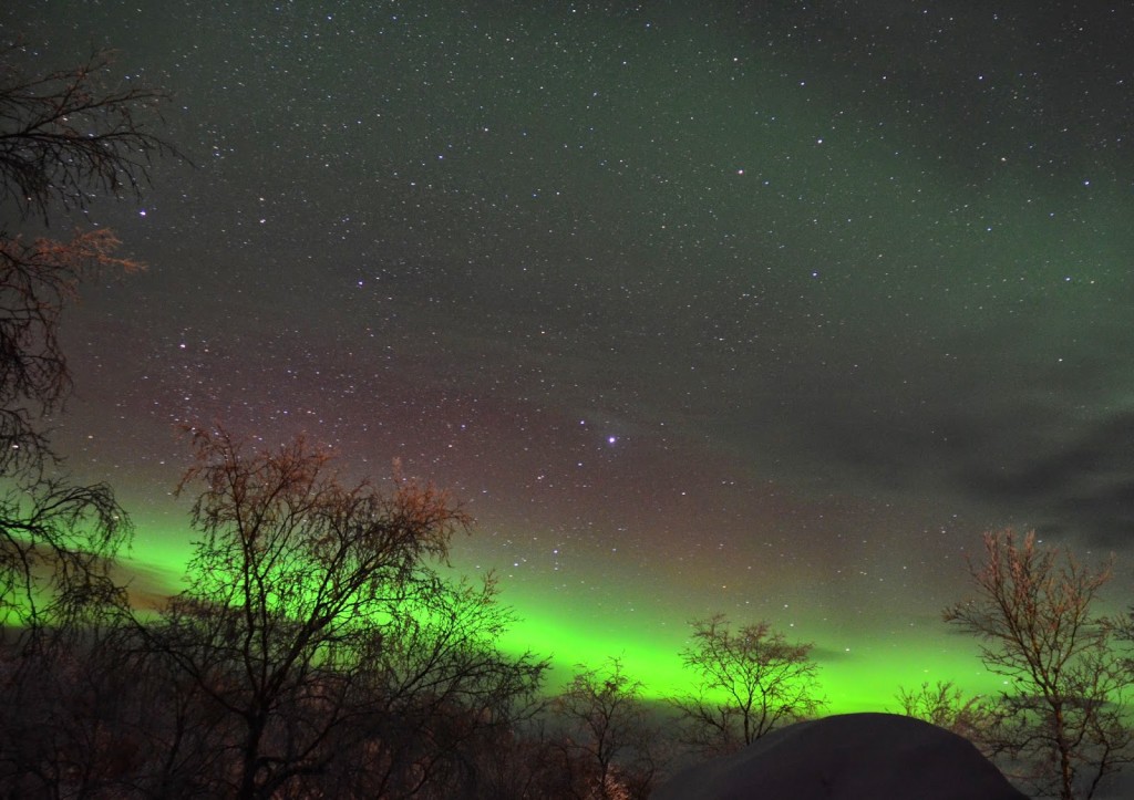 Our first aurora borealis in Abisko, Sweden...need to book the aurora watching tours in Reykjavik as well!