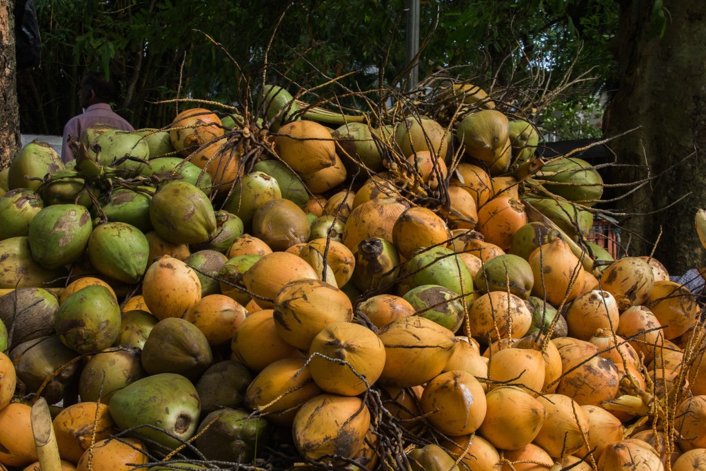 CoconutFort Kochi