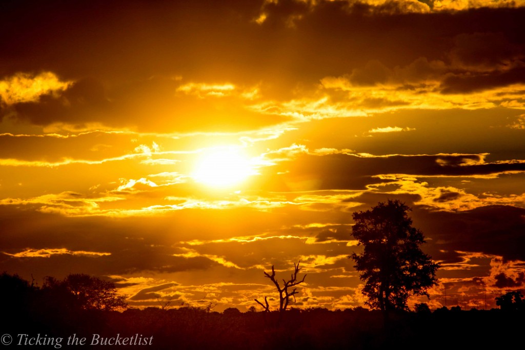 One of the most stunning sunsets that we have ever seen....at Kruger National Park in South Africa