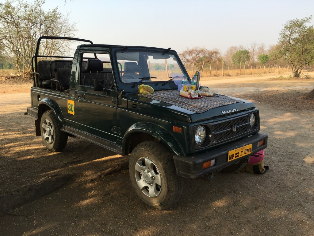 Our safari vehicle