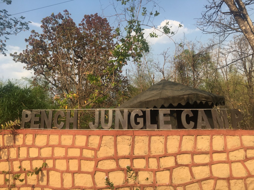 Our home for the weekend...Pench Jungle Camp